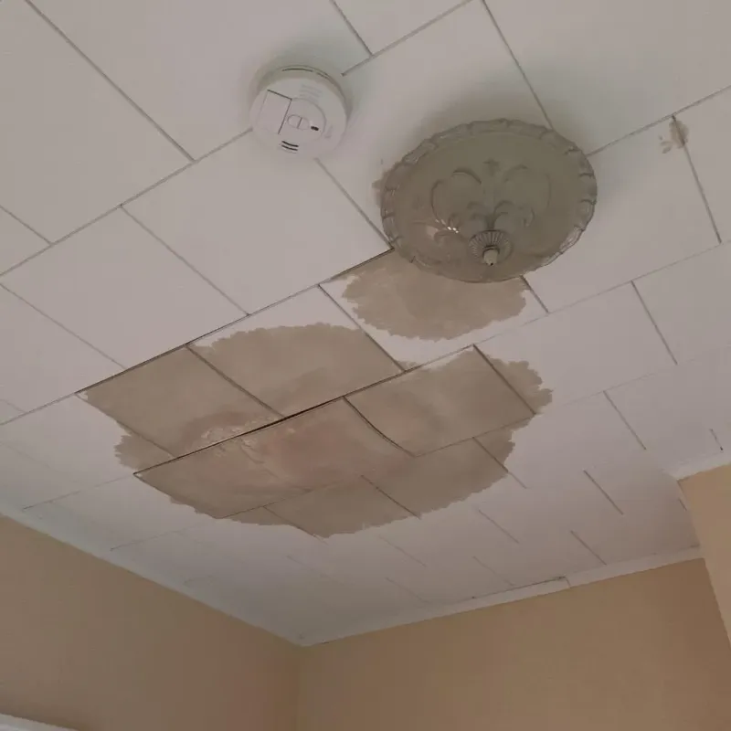 Ceiling Water Damage Repair in Middletown, MD
