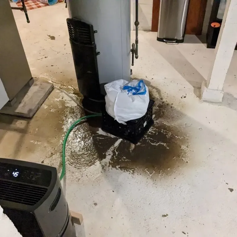 Sewage Backup Cleanup Service in Middletown, MD